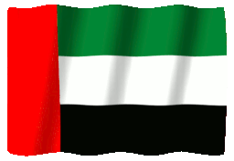 UAE flag